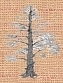 (El dibujo a plumilla recrea como podría ser el árbol en su origen, su autor es D° Tomás Díaz, Catedrático de Botánica de la Universidad de Oviedo y Paleobotánico).                             